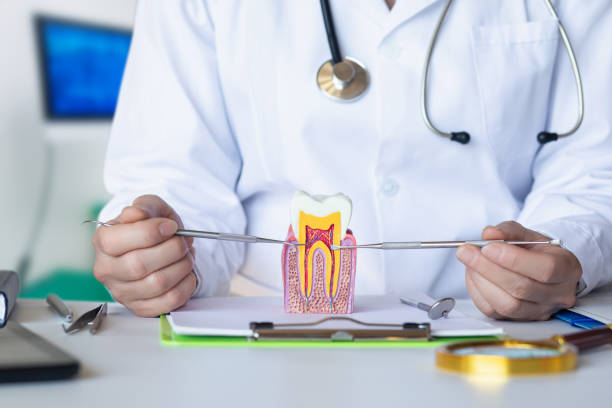 Best Emergency Broken Tooth Repair in Dock Junction, GA